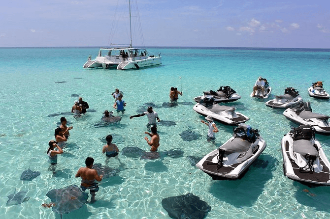 Stingray City, Grand Cayman